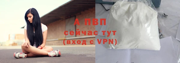твердый Магадан